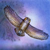 GREAT HORNED OWL OVERHEAD by Kristen Schwartz