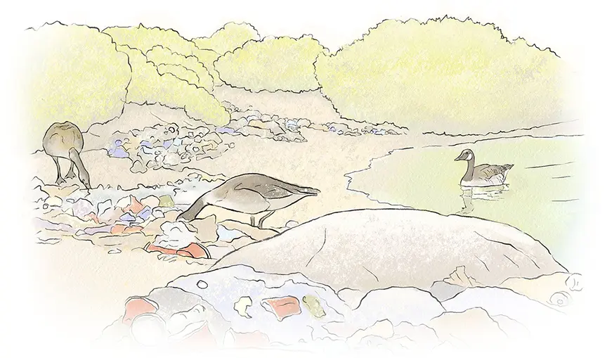 Watercolor of Litter on a Tahoe Beach by Kristen Schwartz