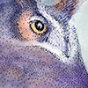 GREAT HORNED OWL HEAD TURN by Kristen Schwartz