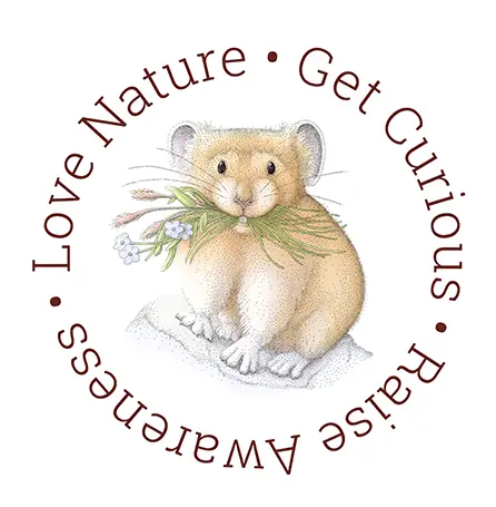 Creative Conservation Pika by Kristen Schwartz