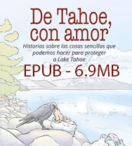 Clickable link to download an EPUB of the book in Spanish